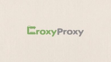 croxyproxy vpn